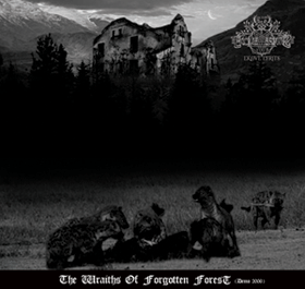 The Wraiths of Forgotten Forest cover