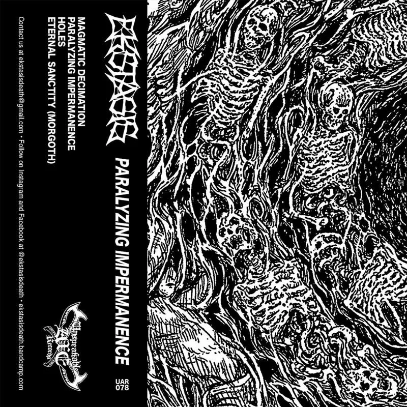 Paralyzing Impermanence cover