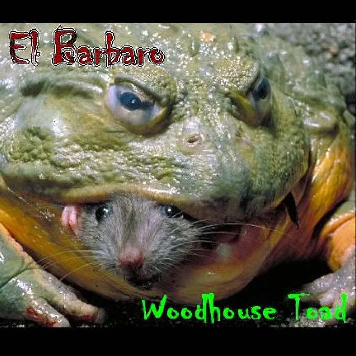 Woodhouse Toad cover
