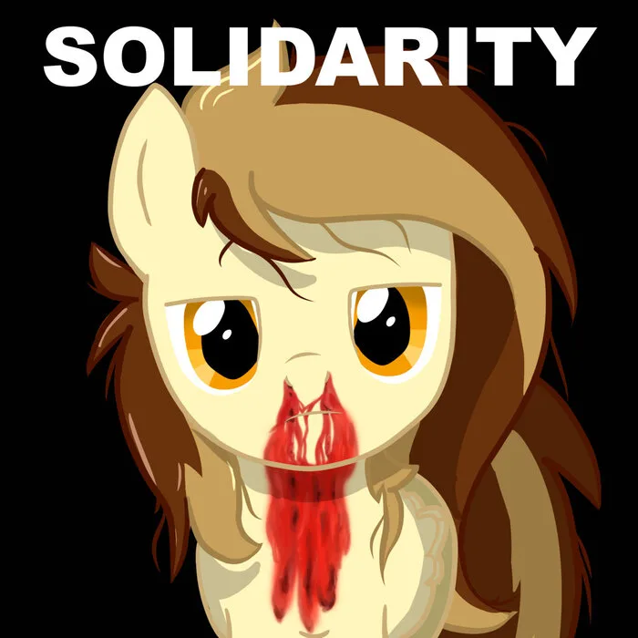 Solidarity cover