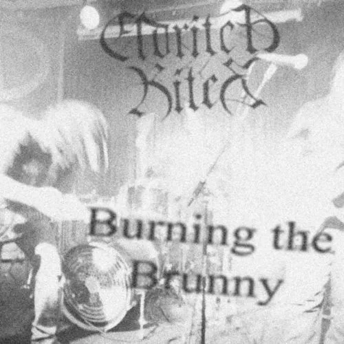 Burning the Brunny cover