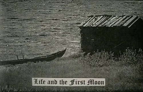 Life and the First Moon cover
