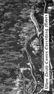 When Death Comes Everything Moves cover