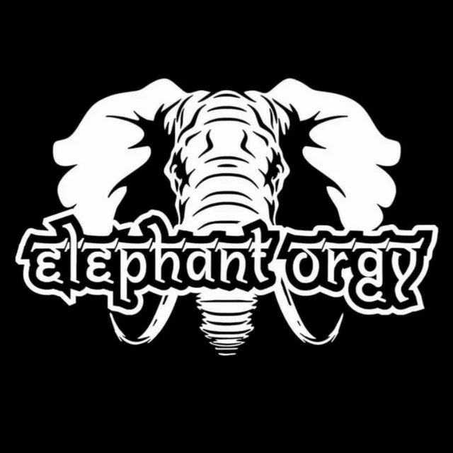 Psychedelephant cover