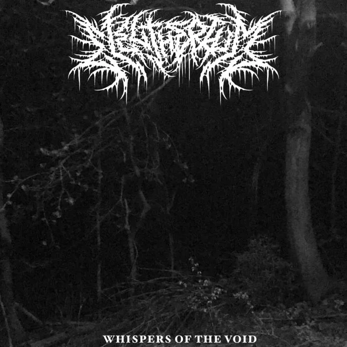 Whispers of the Void cover