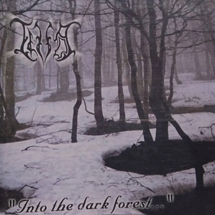 Into the Dark Forest... cover