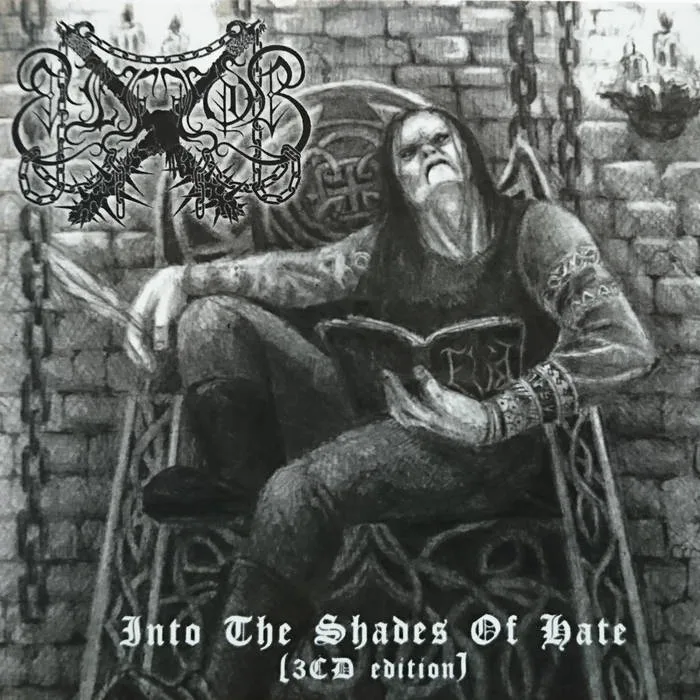 Into the Shades of Hate cover