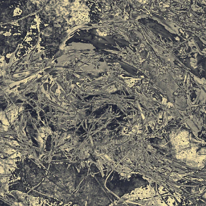 II: ....and Fade into Obscurity cover