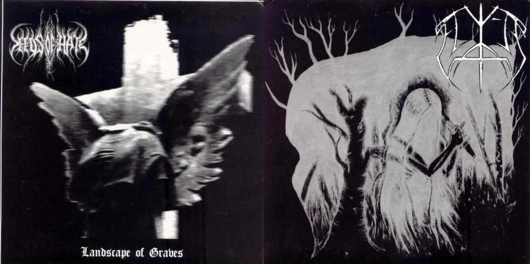 Seeds of Hate / Elite cover