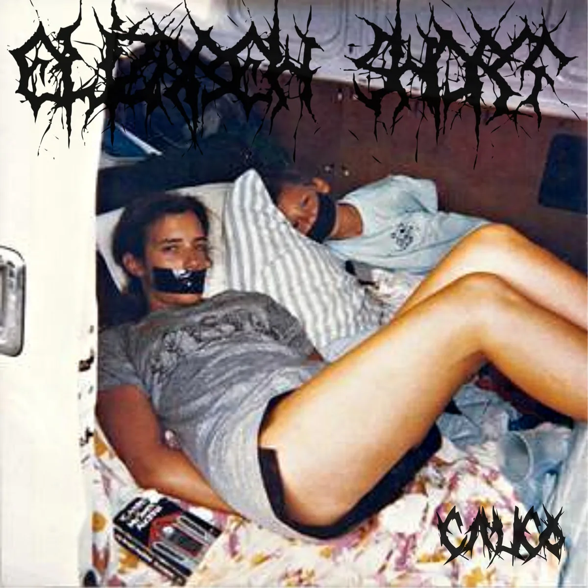 Calico cover
