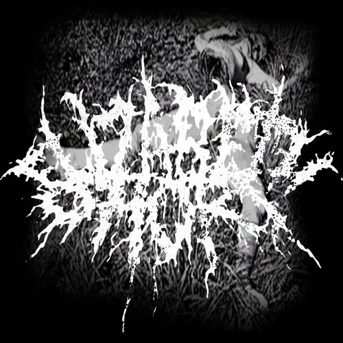 Black Dahlia cover