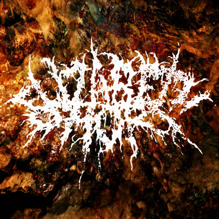 Decayed Stillborn cover