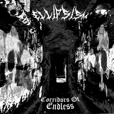 Corridors of Endless cover