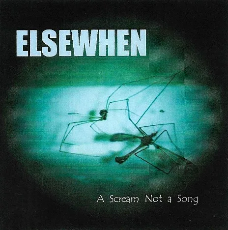 A Scream Not a Song cover