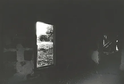 My Final Demise cover