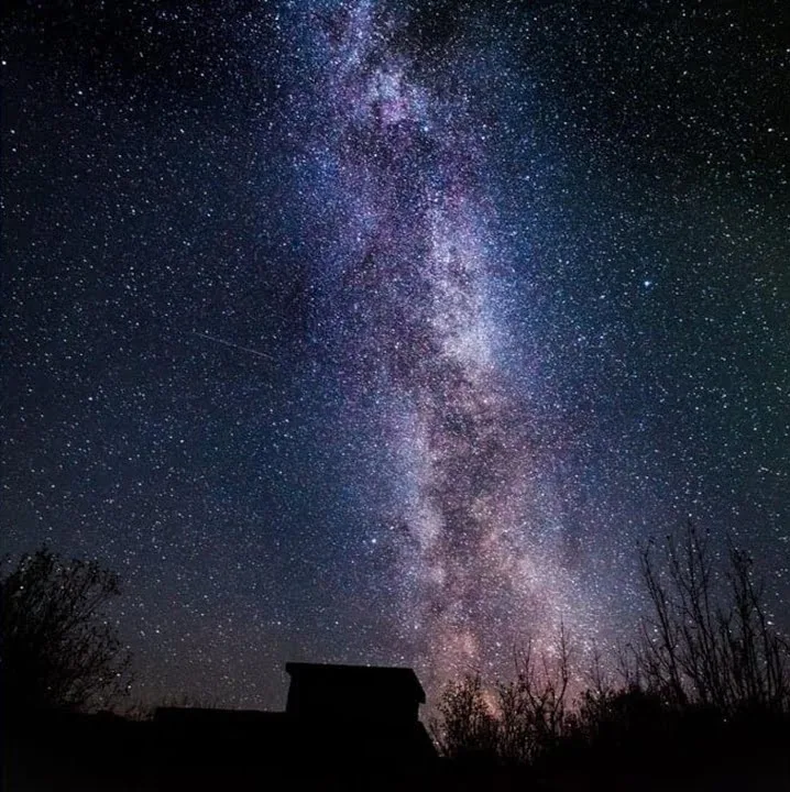 The Wreckage of Others cover