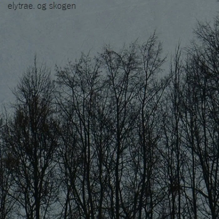 Og skogen cover