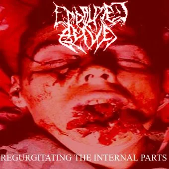 Regurgitating the Internal Parts cover