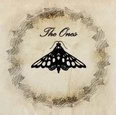 The Ones (Acoustic) cover