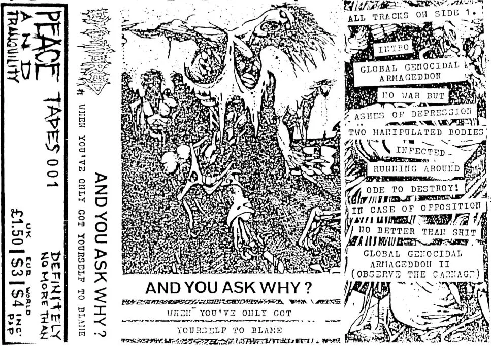 And You Ask Why? When You've Only Got Yourself to Blame cover