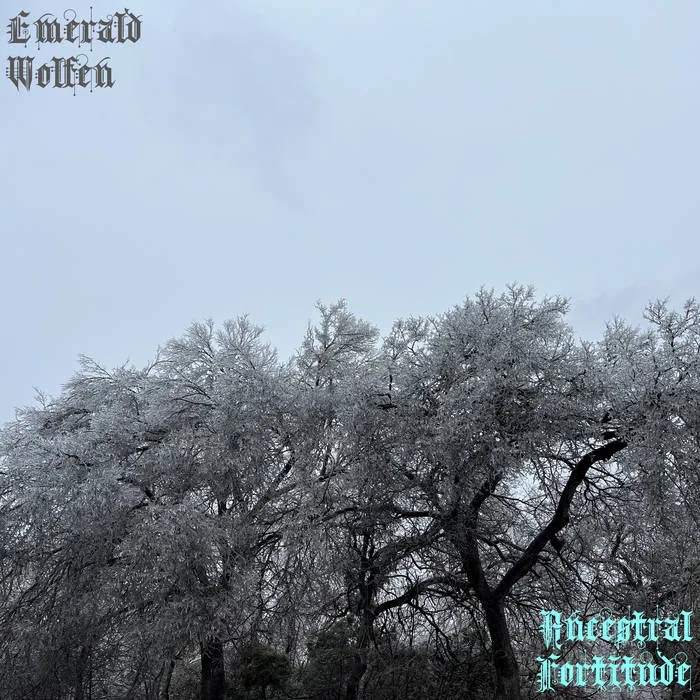 Ancestral Fortitude cover