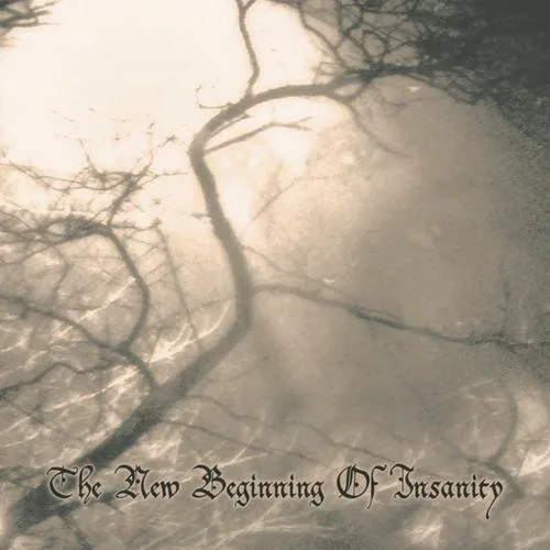 The New Beginning of Insanity cover