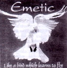 Like a Bird Which Learns to Fly cover