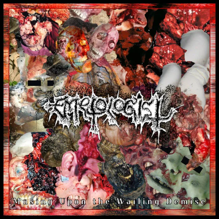 Musing upon the Wailing Demise cover