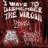 3 Ways to Dismember the Virgin cover