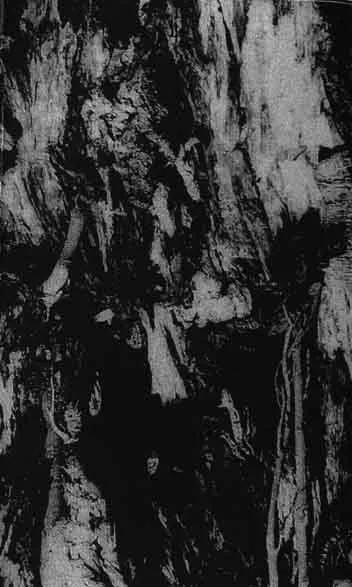 Carved Cross / Empire of Hate cover