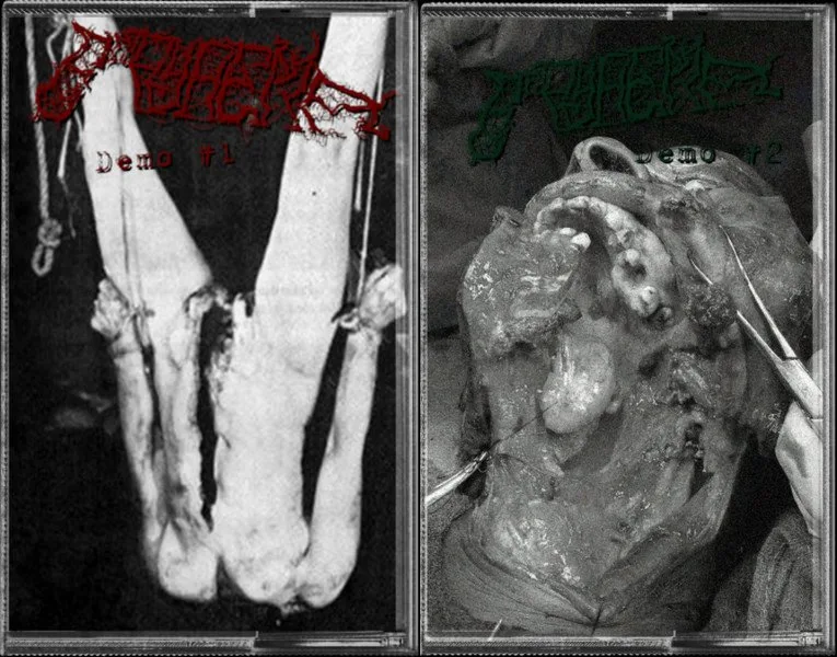 Demo #1 + Demo #2 cover