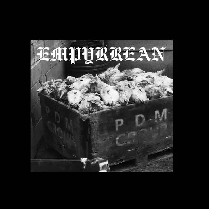 Demo cover