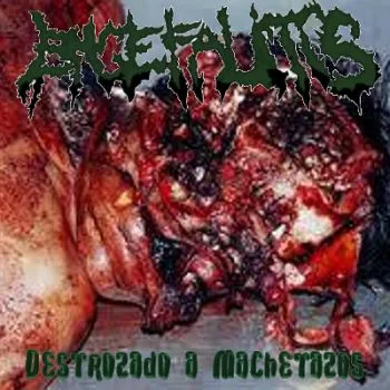 Destrozado a machetazos cover