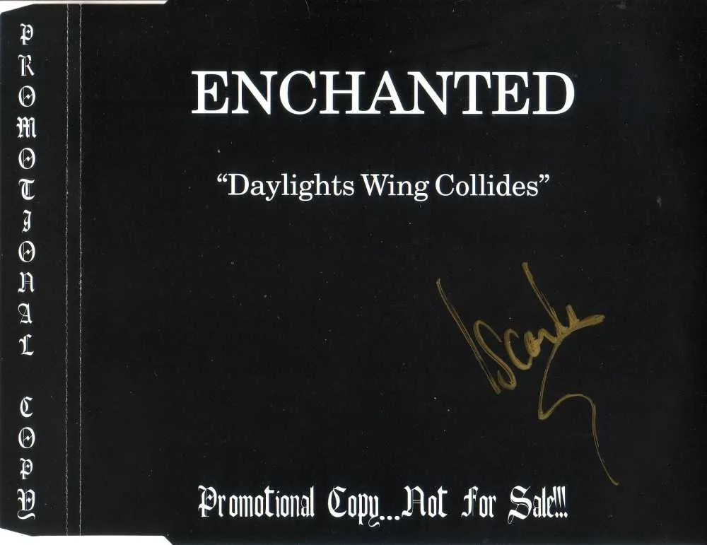 Daylights Wing Collides cover