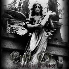 Beauty in Darkness cover