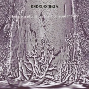 There's a Shade on the Transparent One cover
