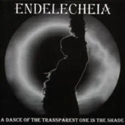 A Dance of the Transparent One in the Shade cover
