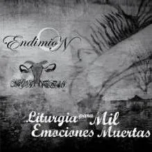 Liturgia para mil emociones muertas cover