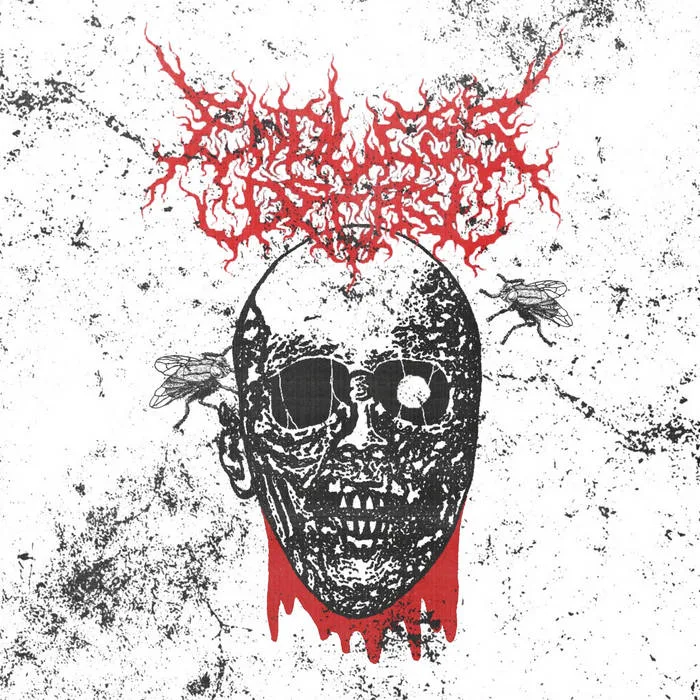 Head of Flies cover