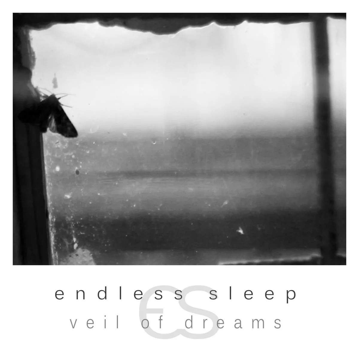 Veil of Dreams cover