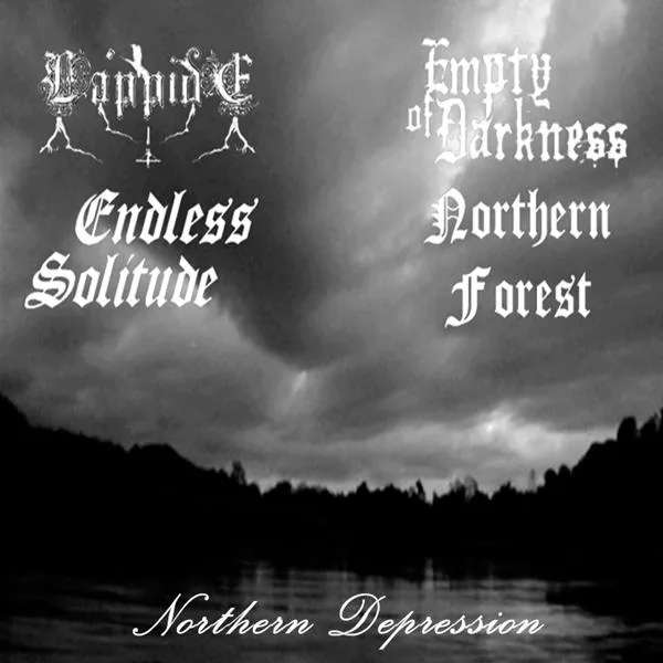 Northern Depression cover