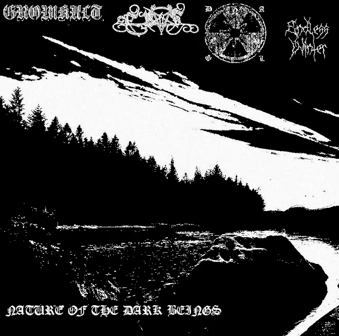 Nature of the Dark Beings cover