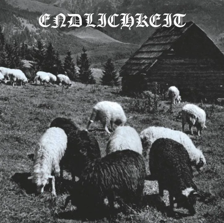 Endlichkeit IX cover