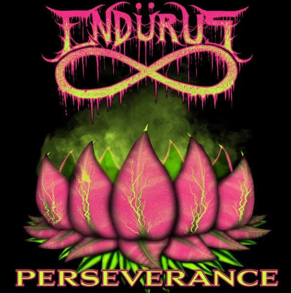 Perseverance cover