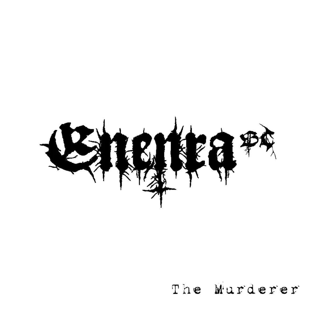 The Murderer cover