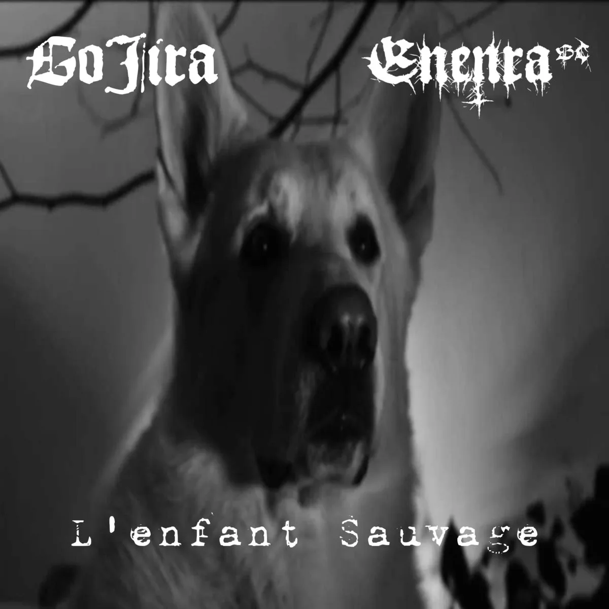 L'enfant Sauvage (Gojira Cover) cover
