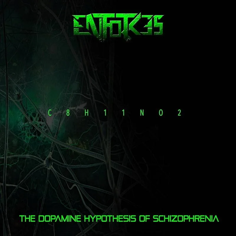 The Dopamine Hypothesis of Schizophrenia cover