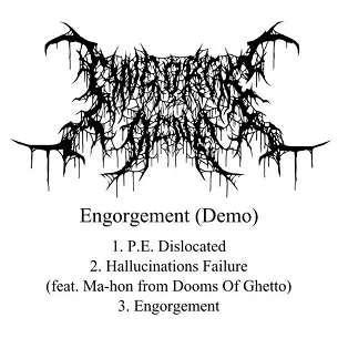 Engorgement cover