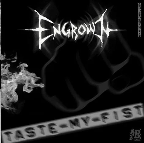 Taste My Fist cover