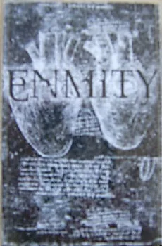 Enmity cover